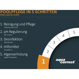 Steinbach Poolpflege Metall-Ex flüssig 1 L, Beckenreiniger
