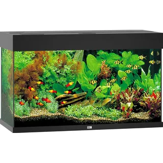 JUWEL AQUARIUM JUWEL Rio 125 LED Aquarium Set schwarz