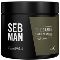 Sebastian Professional SEB MAN The Dandy Shiny Pommade with