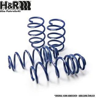 H&R Spezialfedern Fahrwerkssatz, Federn Tieferlegungsfedersatz