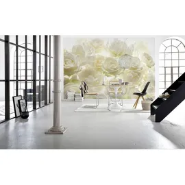 KOMAR Shalimar 368 x 248 cm