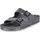 Anthracite 43