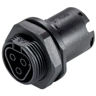 Wieland Electric 96.031.1053.1 Rundstecker Buchse, Einbau Gesamtpolzahl: 3 1St.