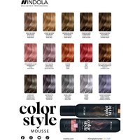 Indola Color Style Farbkartenaufsteller