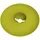 ROMBERG Avocado Kit Pflanzschalen