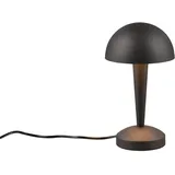 Trio Canaria Schwarz-Gold