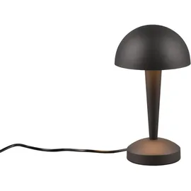 Trio Canaria Schwarz-Gold