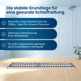AM Qualitätsmatratzen Stabiler 7-Zonen Lattenrost bis 240 kg belastbar 100 x 220 cm