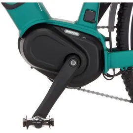 Fischer Terra 4.0i 29 Zoll RH 45 cm adventure green matt