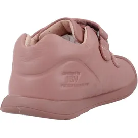 Biomecanics 241124b Rosa rosa 21