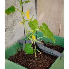 Gusta Garden Curt Cucumber Gurkentopf 35 x 138 x 28 cm dunkelgrün