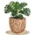Vivanno 25 x 25 x 30 cm Natur