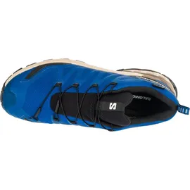 Salomon XA Pro 3D V9 GTX Herren Poseidon/White Pepper/Falcon 46 2/3
