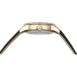 Orient Day & Night Automatik Braun 42 mm RA-AK0007S30B