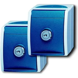 BUSCH-JAEGER Schuko-Steckdose 2xAP 20/20 EWSL-53