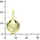 Ostsee-Schmuck Muschel Gelbgold 333