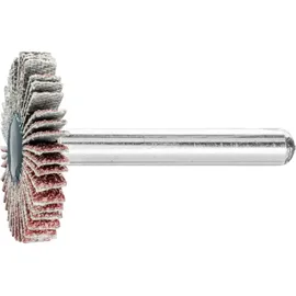 pferd tools Fächerschleifer Ø 30x5 mm