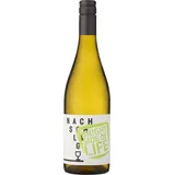 Winzerhof Stahl Riesling Bright Side of Life 6 x 0,75 l