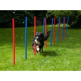 Procyon Premium Slalomstangen 12er Set, Agility-Set für Hunde