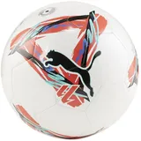 Puma Fußball