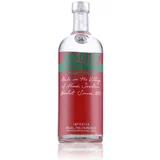 Absolut Watermelon Vodka 38% Vol. 1l