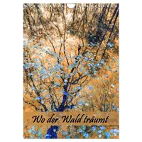 Calvendo Wo der Wald träumt (Wandkalender 2026 DIN A4