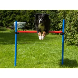 Hürde mit Tragetasche, Hundetraining, Agility