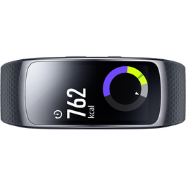 Samsung Gear Fit 2 Pro Large R365 Black From 174 99