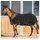 Back on Track Abschwitzdecke SUPREME mit D-Ringen 145 cm Schwarz