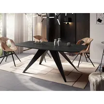 WFL GROUP Foster 160 x 76 x 80 cm schwarz