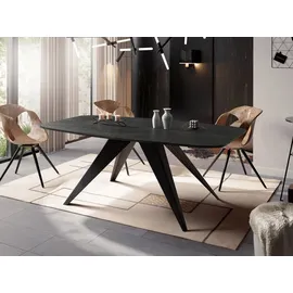 WFL GROUP Foster 160 x 76 x 80 cm schwarz