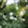 Lumi Jardin LED-Lichterkette Plastik 8,7 m Transparent