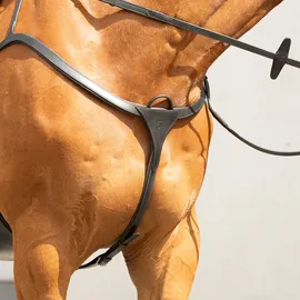 SUNRIDE Vorderzeug Ascot aus Echtleder 5-Punkt/3-Punkt Pony braun