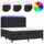 vidaXL Boxspringbett 180 x 200 cm Schwarz