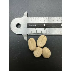 Samenchilishop arabica Nana 20 Samen