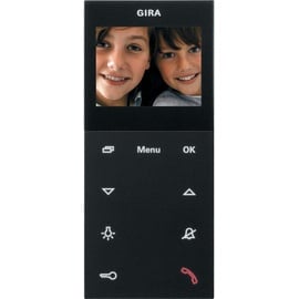 Gira Wohnungsstation Video AP Plus 1239 005 schwarz matt