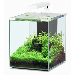 Aquatlantis Nano Cubic 30 LED Aquarium-Set weiß