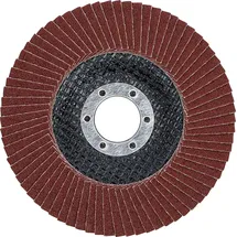 BGS 3972 Fächer-Schleif-Scheibe Ø 115 mm K 120