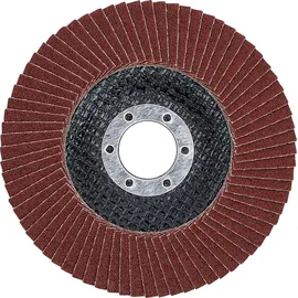 BGS 3972 Fächer-Schleif-Scheibe Ø 115 mm K 120