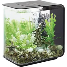 OASE biOrb Flow 15 LED schwarz Aquarium 15l mit LED-Beleuchtung