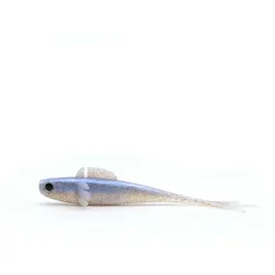 Gummiköder - Weepin - 20.5cm - Baitfish hellblau|hellgrau NO SIZE