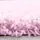 Ayyildiz Teppiche Life Shaggy 1500 Hochflorteppich 80 x 150 cm pink
