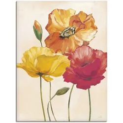 Wandbild ARTLAND "Bunte Mohnblumen I", bunt (farbe bild(er): bunt), B:60cm H:80cm, Bilder, als Alubild, Outdoorbild, Leinwandbild, Poster, Wandaufkleber