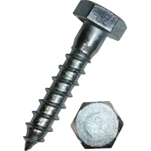 Dresselhaus Sechskant-Holzschraube 0008/001/01 10x120