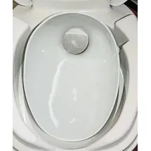 THETFORD Twusch Porzellaneinsatz für Thetford Toilette C250