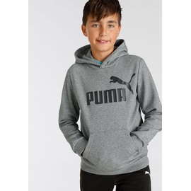 Puma Sportpullover/-Hoodie