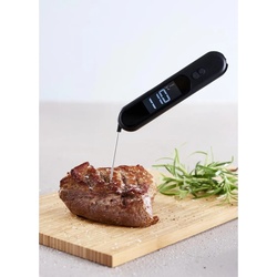 Day, Grillthermometer, TAG – BRATENTHERMOMETER SPEER MIT INFRAROT