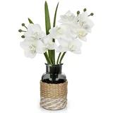 Arborus Kunstblumen im Glas 29 cm Orchideen Künstlich wie Echt Fake Seiden Blumen Klein Kunstpflanzen Orchideen Tisch Regal Deko im Wohnzimmer Schlafzimmer Badezimmer Esszimmer Büro Hotel Restaurant