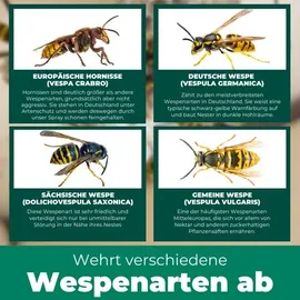 Silberkraft Wespenspray 2 x 500 ml