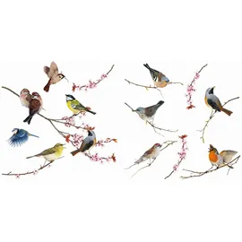 KOMAR Windowsticker Birds 31 x 31 cm